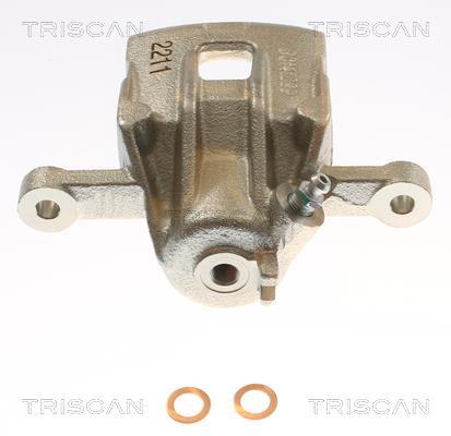 Pinza de freno Triscan A/S ref. 8175 43238