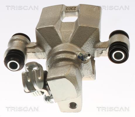 Pinza de freno Triscan A/S ref. 8175 43239