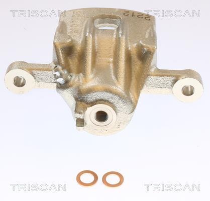 Pinza de freno Triscan A/S ref. 8175 43242