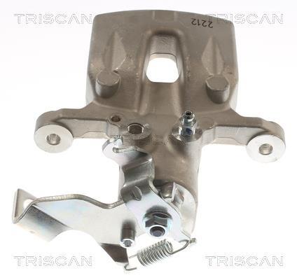 Pinza de freno Triscan A/S ref. 8175 43245