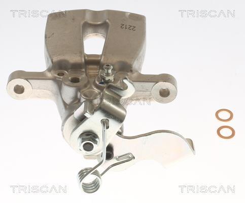 Pinza de freno Triscan A/S ref. 8175 43249