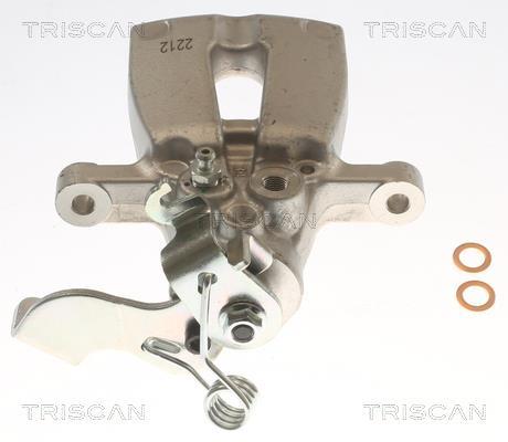 Pinza de freno Triscan A/S ref. 8175 43250