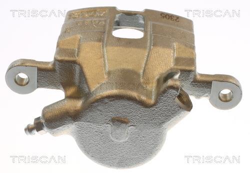 Pinza de freno Triscan A/S ref. 8175 43251