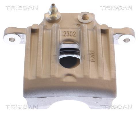 Pinza de freno Triscan A/S ref. 8175 43253