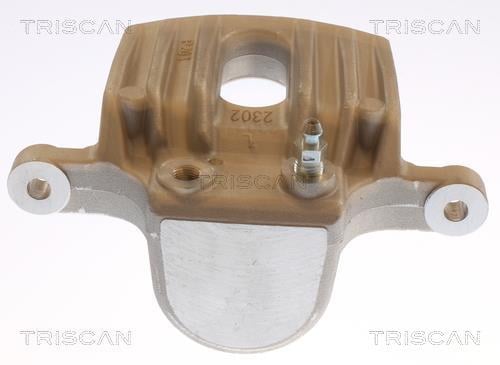 Pinza de freno Triscan A/S ref. 8175 43254