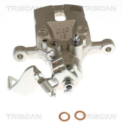 Pinza de freno Triscan A/S ref. 8175 43257