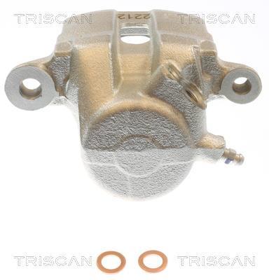 Pinza de freno Triscan A/S ref. 8175 50109