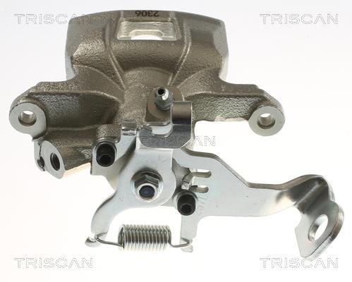 Pinza de freno Triscan A/S ref. 8175 50217