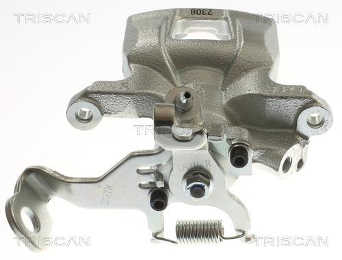 Pinza de freno Triscan A/S ref. 8175 50218