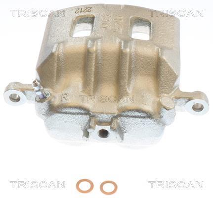 Pinza de freno Triscan A/S ref. 8175 68108
