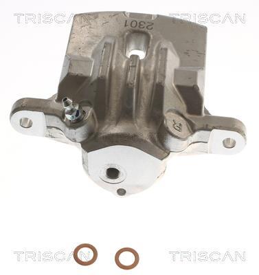 Pinza de freno Triscan A/S ref. 8175 68208