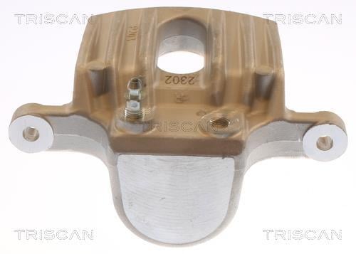 Pinza de freno Triscan A/S ref. 8175 69102