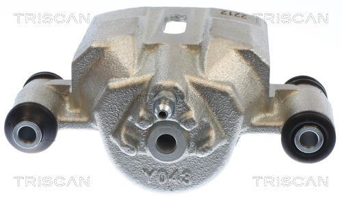 Pinza de freno Triscan A/S ref. 8175 69106
