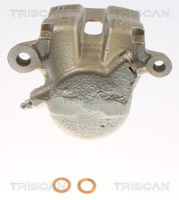Pinza de freno Triscan A/S ref. 8175 69108
