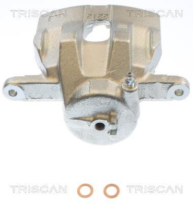 Pinza de freno Triscan A/S ref. 8175 69111