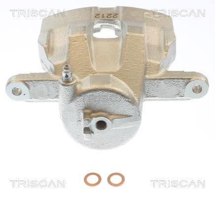 Pinza de freno Triscan A/S ref. 8175 69112