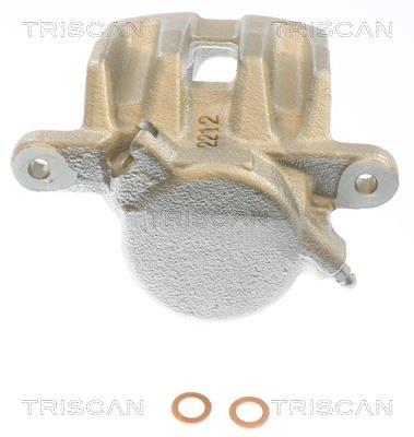 Pinza de freno Triscan A/S ref. 8175 69113