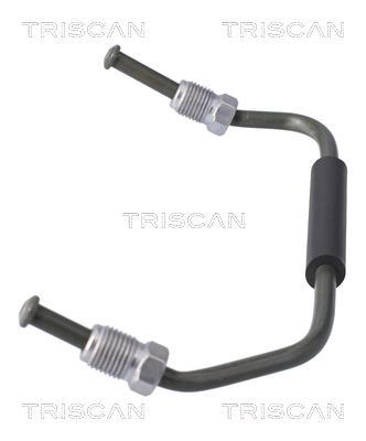 Pinza de freno Triscan A/S ref. 8175 8101