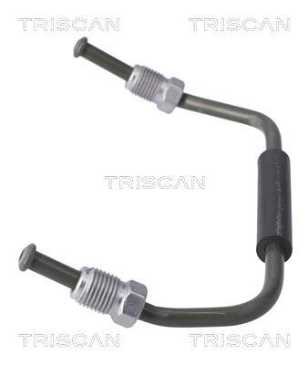 Pinza de freno Triscan A/S ref. 8175 8102