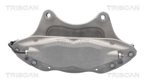Pinza de freno Triscan A/S ref. 8175 81101