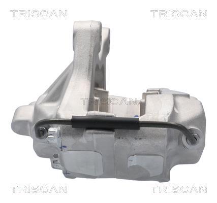 Pinza de freno Triscan A/S ref. 8175 81101