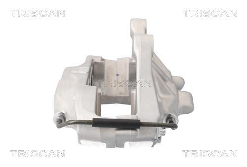Pinza de freno Triscan A/S ref. 8175 81102