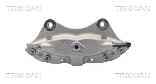Pinza de freno Triscan A/S ref. 8175 81201