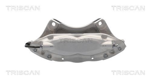 Pinza de freno Triscan A/S ref. 8175 81201