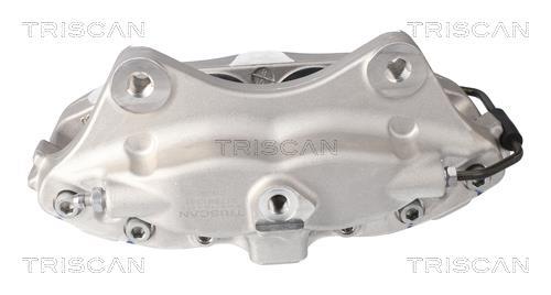 Pinza de freno Triscan A/S ref. 8175 81201