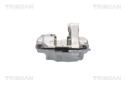 Pinza de freno Triscan A/S ref. 8175 81202