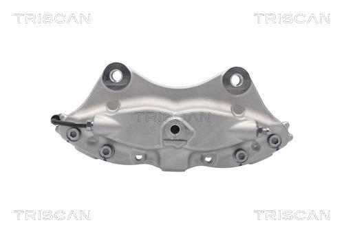 Pinza de freno Triscan A/S ref. 8175 81202