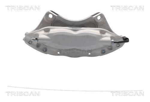 Pinza de freno Triscan A/S ref. 8175 81202