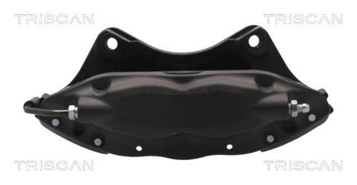 Pinza de freno Triscan A/S ref. 8175 81203