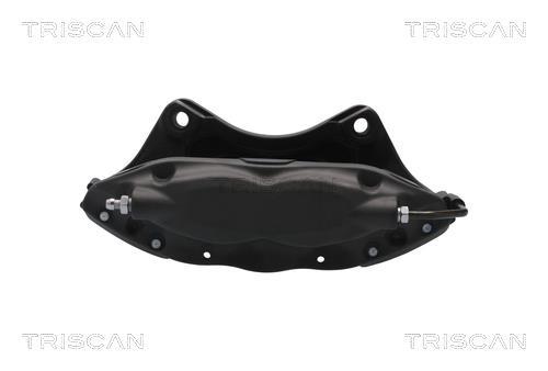 Pinza de freno Triscan A/S ref. 8175 81204