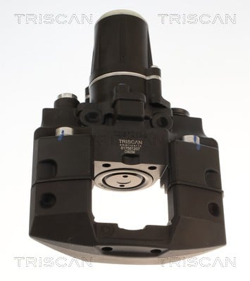 Étrier de frein Triscan A/S 8175 81207