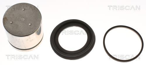 Pinza de freno Triscan A/S ref. 8175 82106