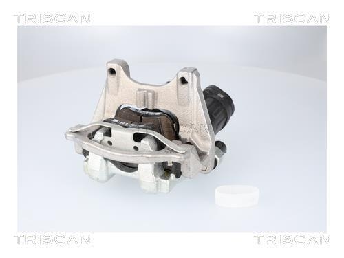 Pinza de freno Triscan A/S ref. 8175 82204
