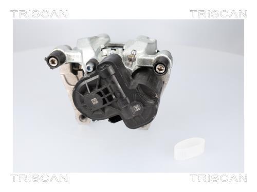 Pinza de freno Triscan A/S ref. 8175 82204