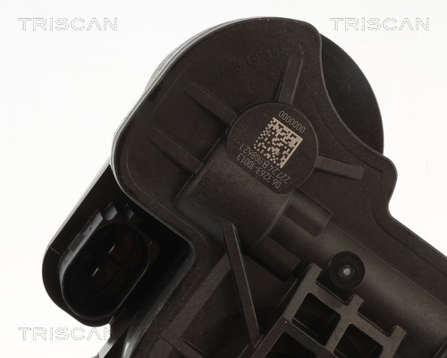 Étrier de frein Triscan A/S 8175 82211