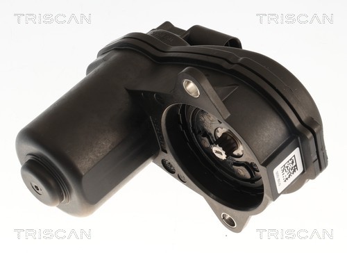 Étrier de frein Triscan A/S 8175 82213