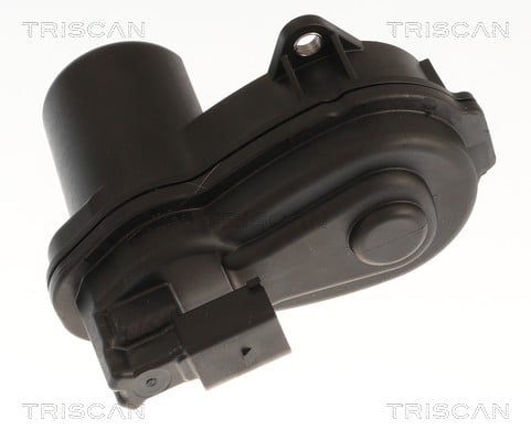 Étrier de frein Triscan A/S 8175 82213