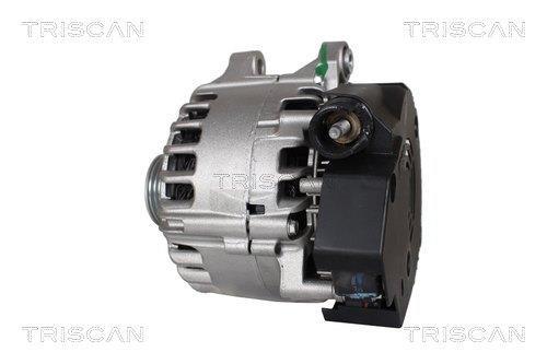 Alternador arrancador Triscan A/S ref. 8305 10001