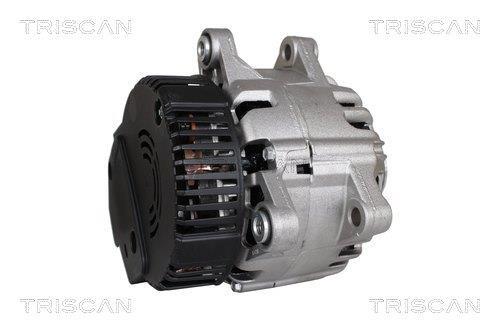 Alternador arrancador Triscan A/S ref. 8305 10001