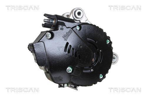 Alternador arrancador Triscan A/S ref. 8305 10002