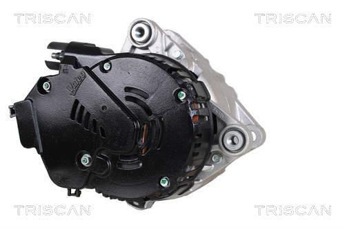 Alternador arrancador Triscan A/S ref. 8305 10002