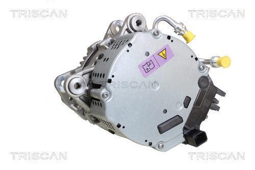 Alternador arrancador Triscan A/S ref. 8305 23004