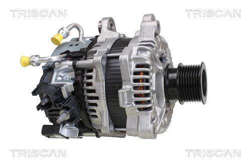 Alternador arrancador Triscan A/S ref. 8305 23004