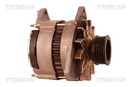 Alternateur Triscan A/S 8310 10009