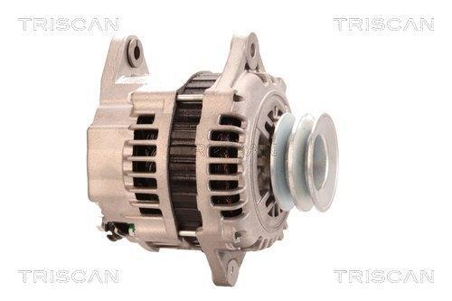 Alternateur Triscan A/S ref. 8310 10010