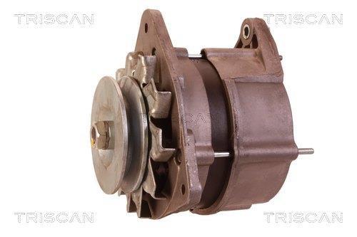 Alternateur Triscan A/S ref. 8310 10010